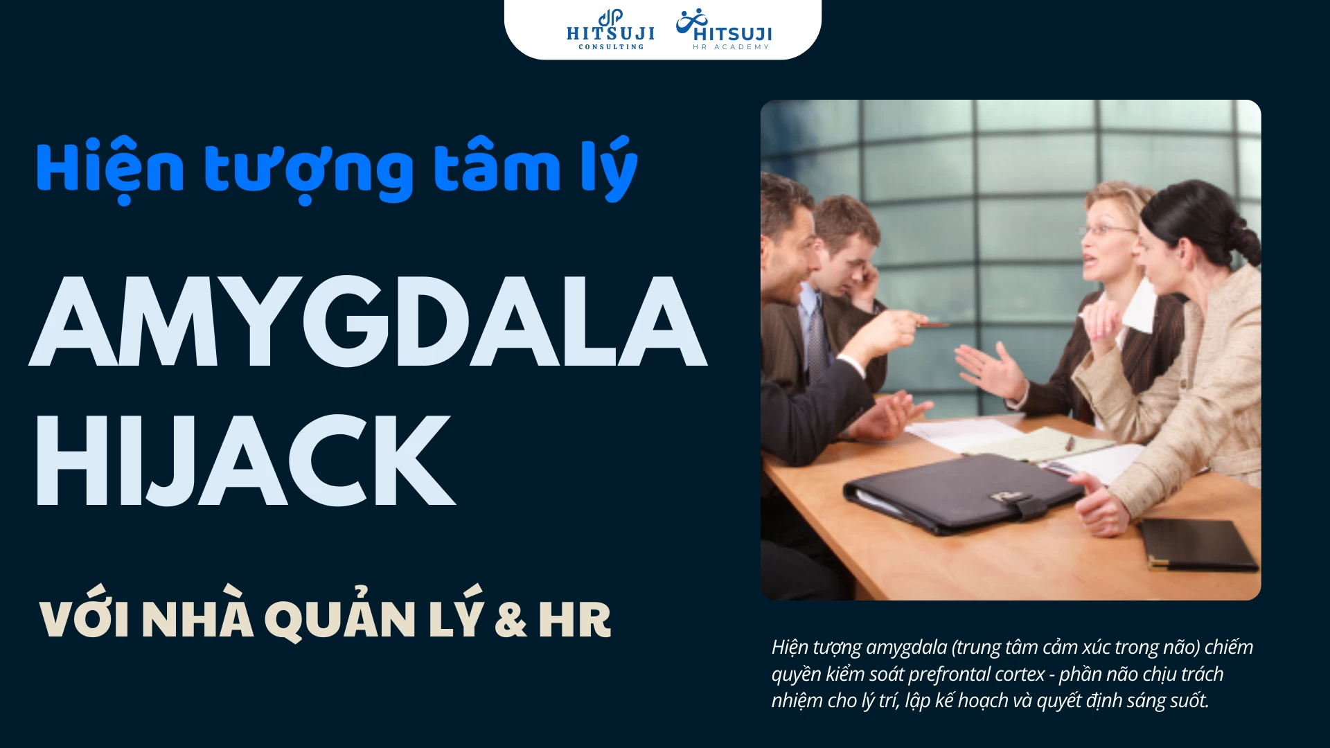 Amygdala Hijack - Hiện Tượng Tâm Lý Mà Các Nhà Quản Lý & HR Không Nên Bỏ Qua Trong Dẫn Dắt Đội Ngũ